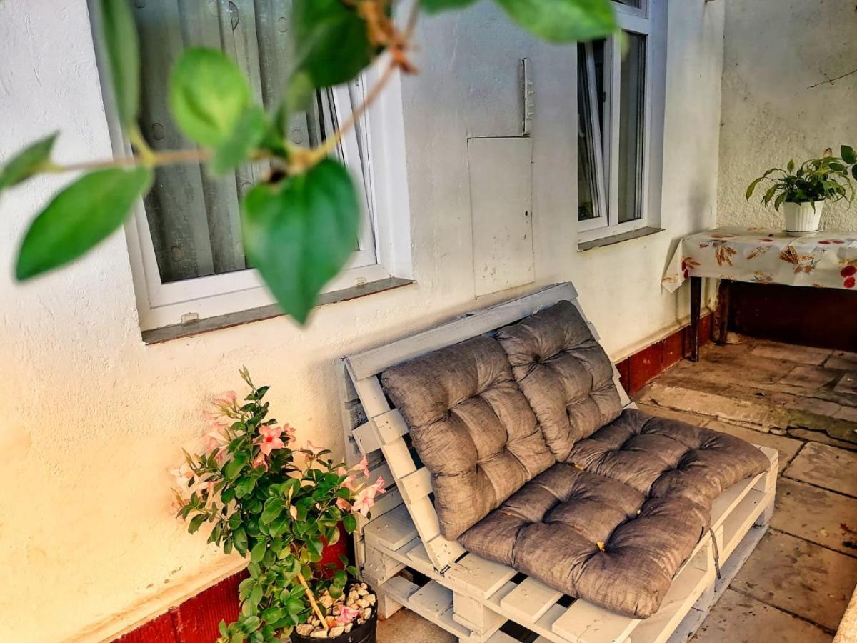 Zen Studio Brassó Kültér fotó